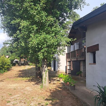 La Casa Del Pi Lägenhet El Pi de Sant Just Exteriör bild