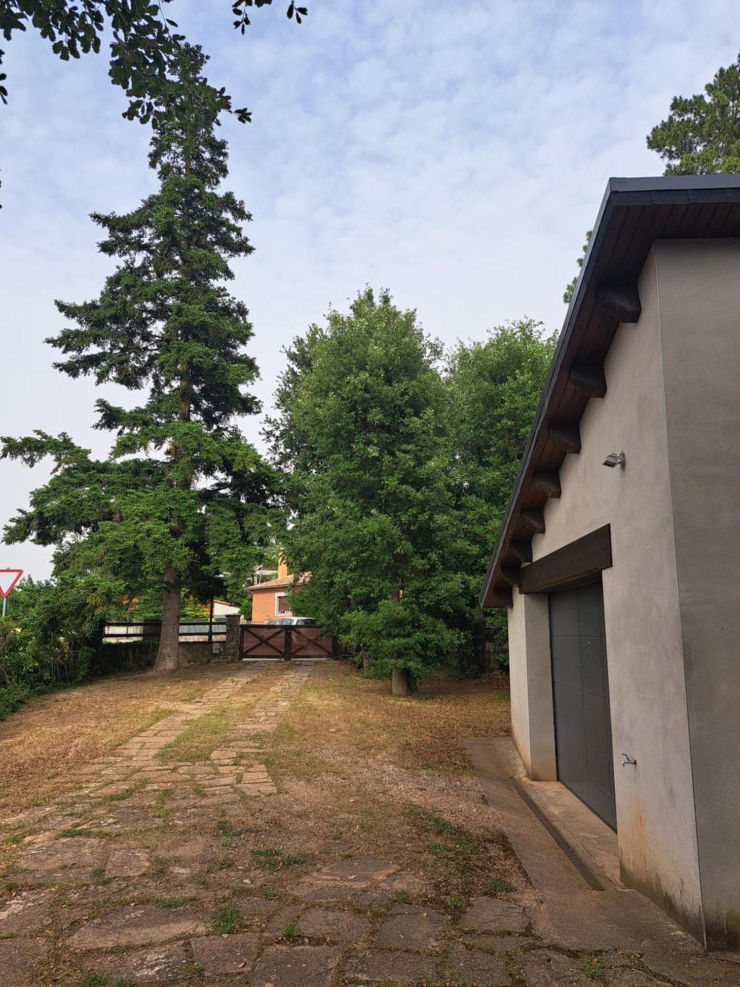 La Casa Del Pi Lägenhet El Pi de Sant Just Exteriör bild